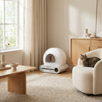 Litière Autonettoyante pour Chat — Minolea Sérénité