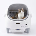 Litière Autonettoyante pour Chat — Minolea Confort