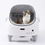 Litière Autonettoyante pour Chat — Minolea Confort